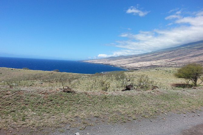Private Hana, Ocean, Turtle Town, Winery Tour of Maui - FAQs