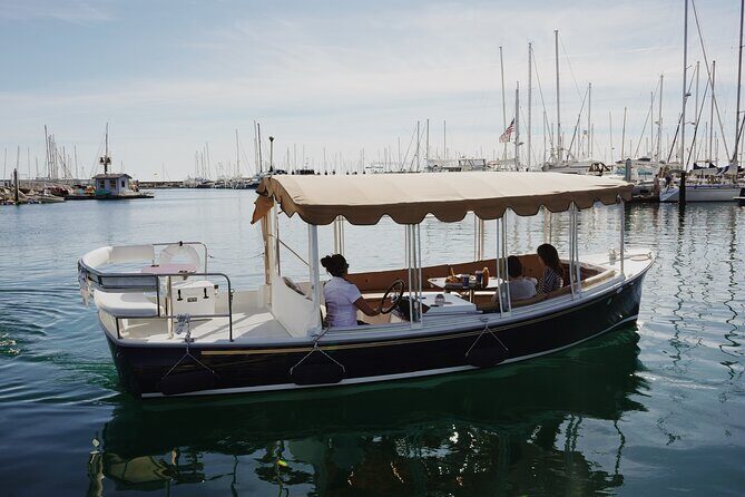 Private Harbor Cruise on Electric Boat in Santa Barbara - An In-Depth Look at the Electric Harbour Cruise