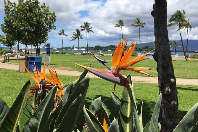 Private Hawaii Pearl Harbor Tours and North Shore (up to 12 people ) - What Makes This Tour Stand Out