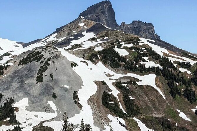 Private Hiking Day Tour of Garibaldi Lake Panorama Ridge - The Experience Based on Reviews and Expectations