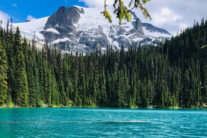 Private Hiking Day tour of Joffre Lakes Park - Who Will Love This Tour?