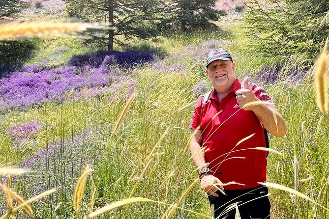 PRIVATE Hiking Day Trip in the Shouf Fabulous Cedars Forest - Key Points