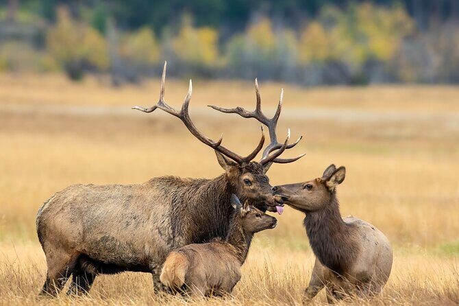 Private Hiking Tour Experience at Rocky Mountain National Park - What’s Included and What’s Not