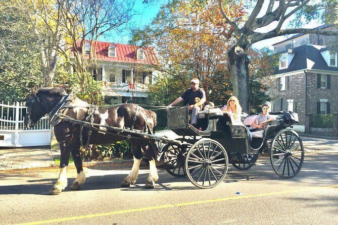 Private Historic Horse & Carriage Tour of Charleston - The Guide and Narration: Why It Matters