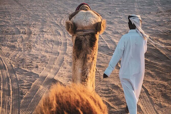 Private Horse and Camel Riding Experience in Doha - Who Will Love This Tour?