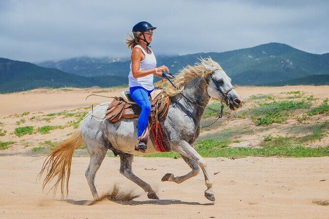 Private Horseback Riding in Cabo San Lucas - The Practical Side: Pricing, Booking, and Considerations