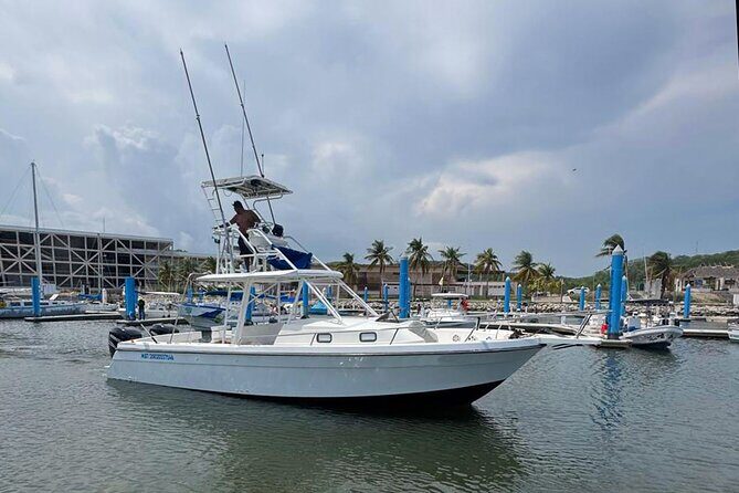 Private Huatulco Ocean, Bays & Coral Reef Snorkeling Adventures - Authentic Insights from Reviews