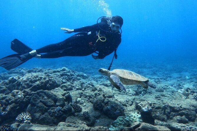 PRIVATE Introductory Discover Scuba Diving For Beginners - Booking and Preparation
