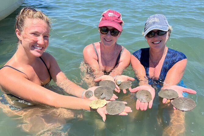 Private Island Eco Tours on a Private Boat from Shackleford Banks - Who Is This Tour Best For?