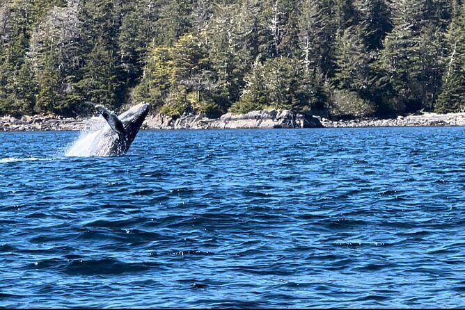 Private Island Experience in Sitka - Why This Tour Stands Out