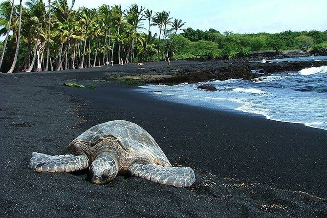 Private Island Tour in Hawaii with Pickup Included - What Travelers Say