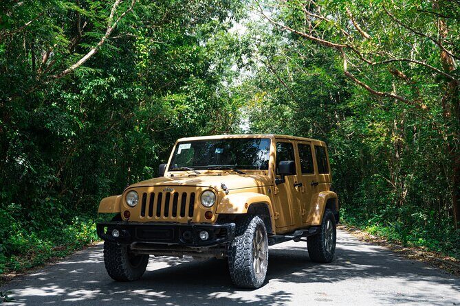 Private Jeep Cenotes Expedition in Cozumel - Why This Tour Offers Good Value