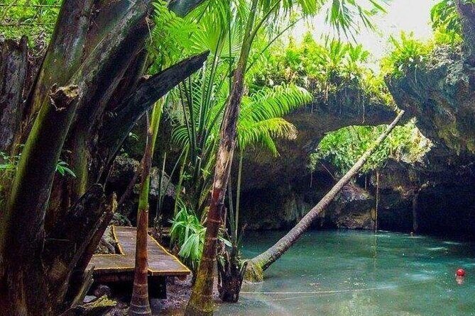 Private Jeep Cozumel Snorkeling Adventure in Jade Cave and Lunch - Transportation and Comfort