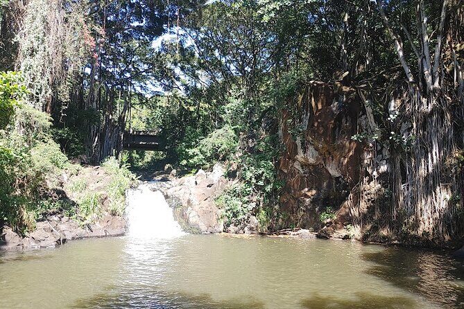 Private Jeep Tour of Oahu's Best Hidden Gems - What Travelers Say