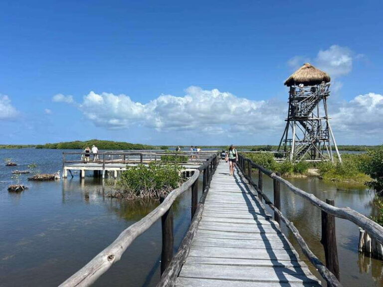 Private Jeep tour to Punta Sur park + snorkel + Lunch - Authentic Insights from Reviews