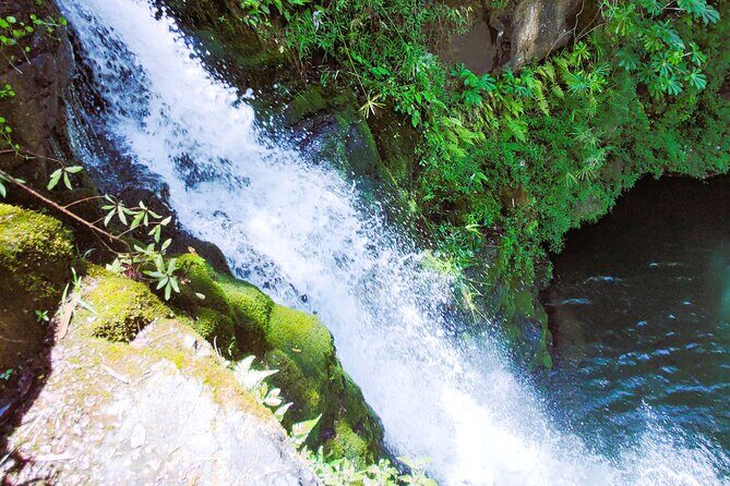 Private Jungle Waterfall Adventure, Wit Da Native Hawaiian Dundee - Stop 3: Anahola Hawaiian Farmer’s Market