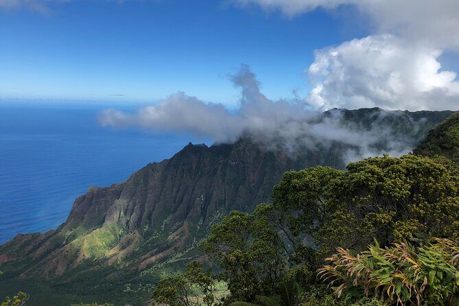 Private Kauai Island Tour : Waimea Canyon, Kalalau Lookout + More - The Sum Up
