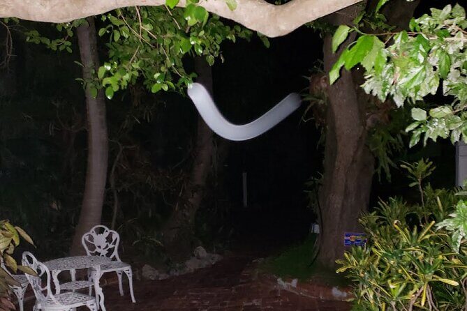 PRIVATE Key West Haunted History Walking Tour - What to Expect and Why It Matters