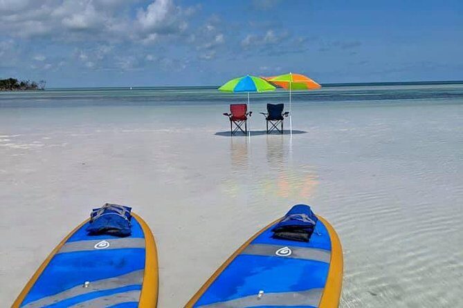 Private Key West Sandbar and Paddle by Boat - Authentic Perspectives from Past Travelers