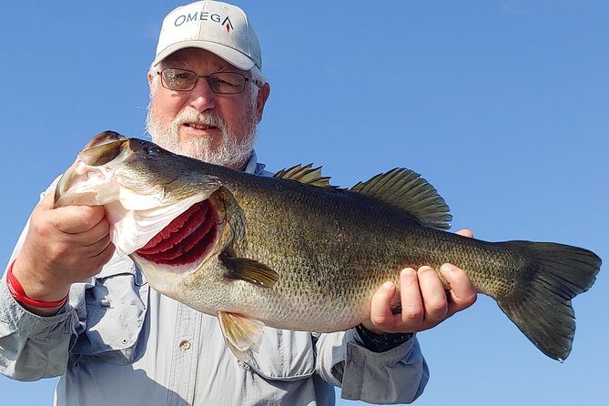 Private Lake Tohopekaliga Fishing Charter near Orlando - Final Thoughts: Who Should Consider This Tour?