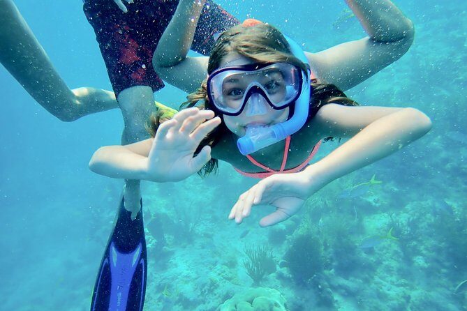 Private Looe Key Snorkel from Big Pine Key - Authentic Insights from Past Participants