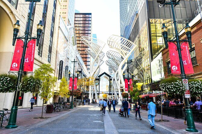 Private Luxury Full Day Calgary City Tour by Car - Authentic Feedback & How It Shapes the Experience