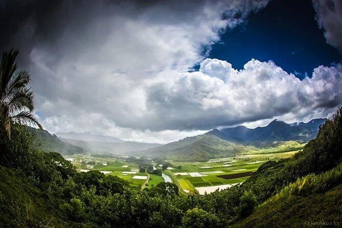 Private luxury tour of Oahu island - What the Reviews Tell Us