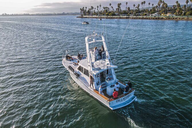 Private Luxury Whale Watching Tour in San Diego - The Sum Up