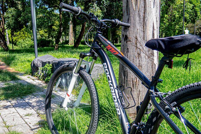 Private Mexico City Biking Tour - Practical Details: What You Need to Know