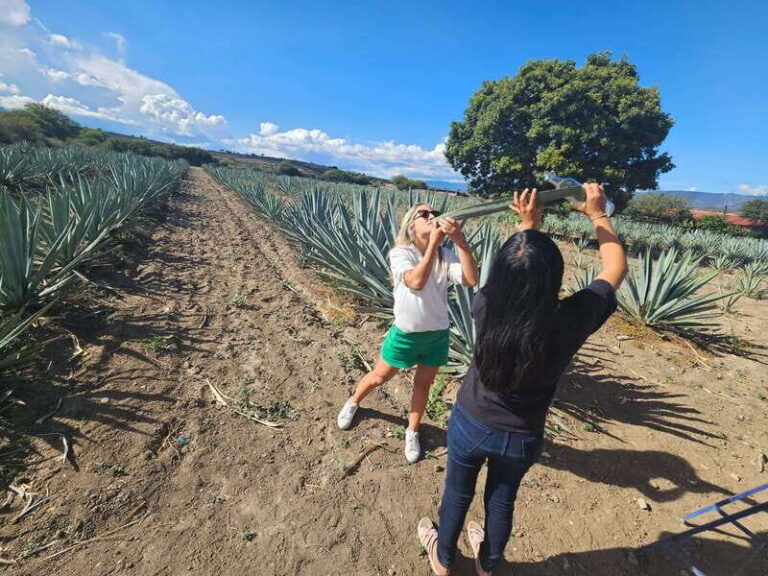 Private Mitla, Hierve el agua and Mezcal Tour with Lunch - Final Thoughts: Who Is This Tour For?