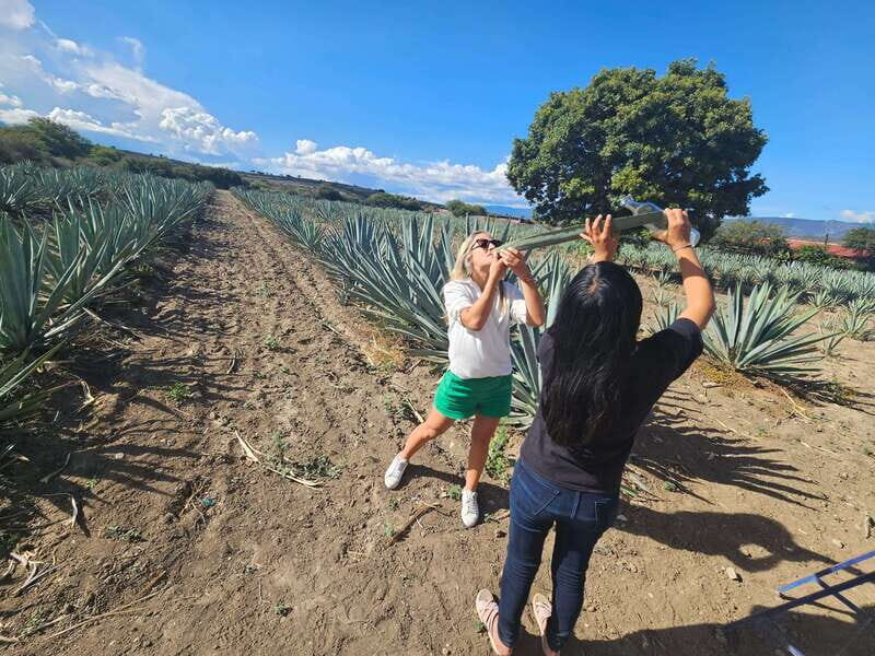 Private Mitla, Hierve el agua and Mezcal Tour with Lunch - Final Thoughts: Who Is This Tour For?