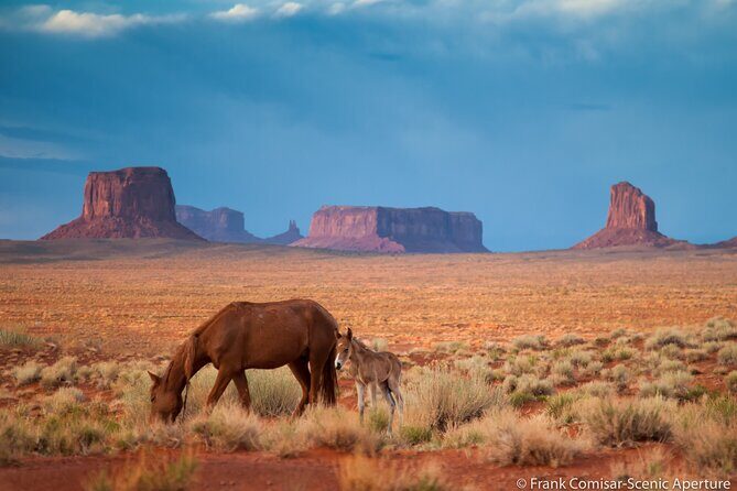 Private Monument Valley Tour - An In-Depth Look at the Private Monument Valley Tour