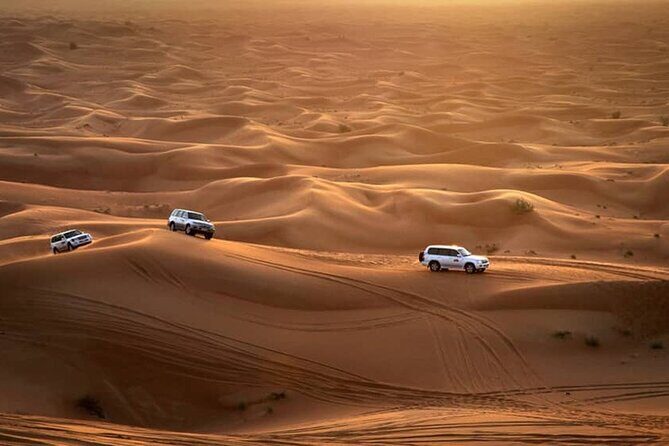 Private Morning Desert Safari From Dubai - The Value and Pricing