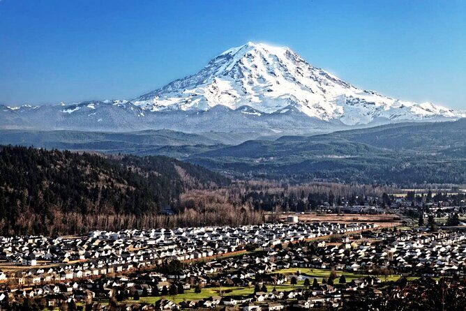 Private Mt Rainier National Park Tour in SUV - Price & Value Analysis