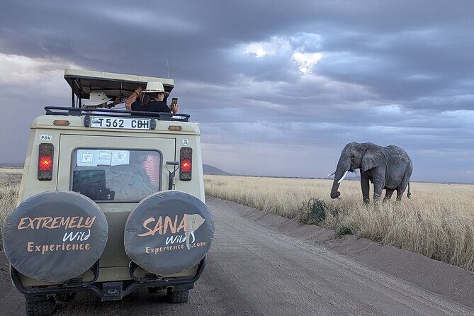Private Multi Day Tour Tanzania Safari - Who Will Love This Safari?