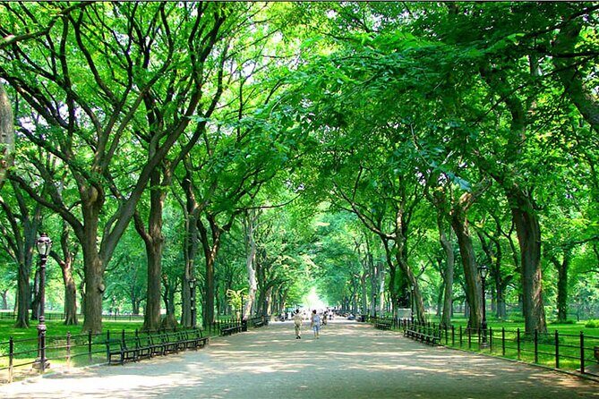 Private New York City Walking Tour: Central Park History and Hidden Secrets - What Makes This Tour Stand Out?