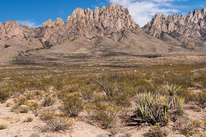 Private NM Taxi Service- Statewide - Vehicle and Driver Experience