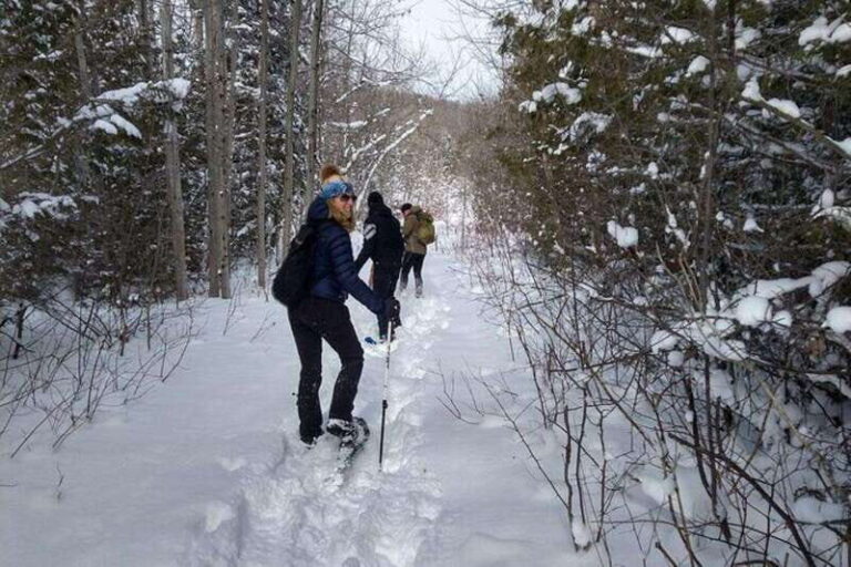 Private Nottawasaga Bluffs Caves Snowshoe-Creemore/Collingwd - Itinerary Breakdown