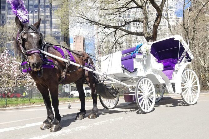 Private NYC Central Park Horse Carriage Ride (Guided) Since 1965 - Frequently Asked Questions