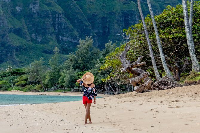 Private Oahu Circle Island Tour - Analyzing the Value