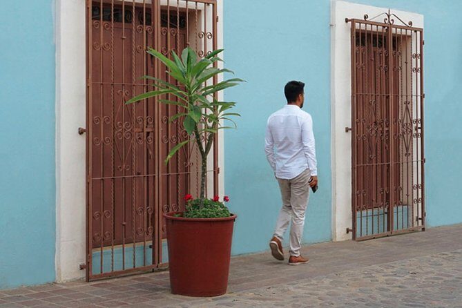 Private Oaxaca Walking Tour with Mezcal Tasting - The Authenticity and Value of the Experience
