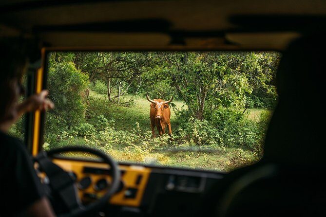 Private Off-Road Adventure Tour - The Experience in Detail