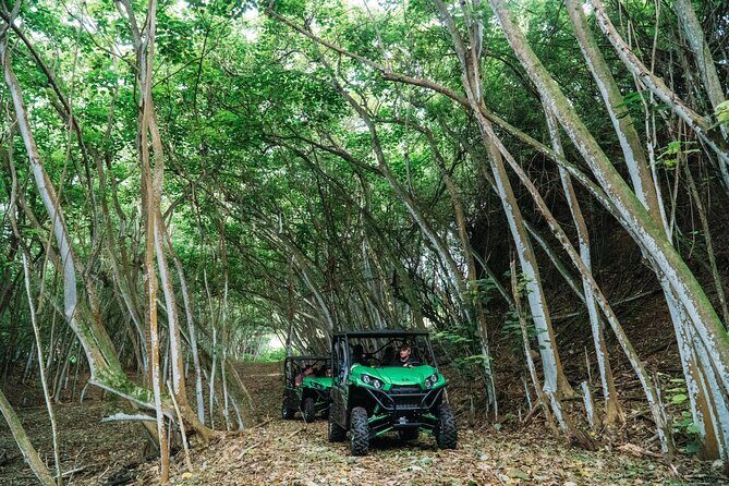 Private Off Road Explorer's Tour - Diving Into the Itinerary
