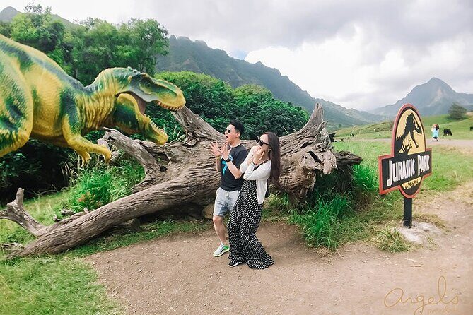 Private One way Transfer Waikiki Hotel and Kualoa Ranch - Why This Transfer Works Well for Travelers