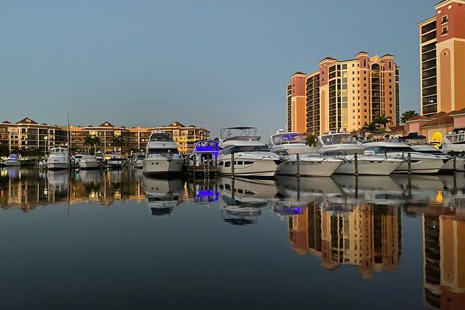 Private ONLY Dolphin Boat Tours - Practical Tips for Booking and Enjoying
