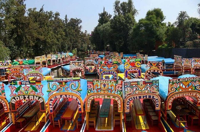 Private or Shared Tour Xochimilco Coyoacán and Frida Kahlo Museum - Who Would Love This Tour?