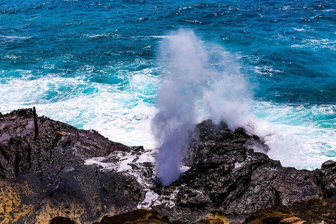 Private Pearl Harbor and Scenic Oahu Tour - What to Expect from the Tour