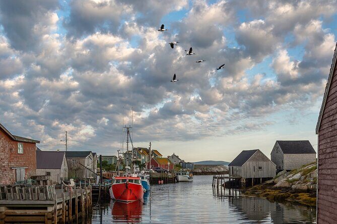 Private Peggy's Cove Lighthouse Tour from Halifax - What the Reviews Tell Us