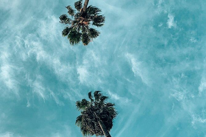 Private Photo Tour in Los Angeles - Best Instagram Places in LA - What’s Included and What You Should Know