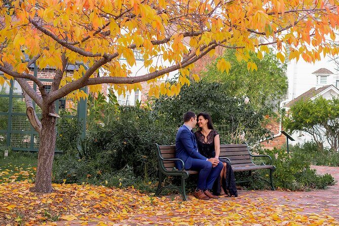 Private Professional Vacation Photoshoot in Dallas - Analyzing the Value